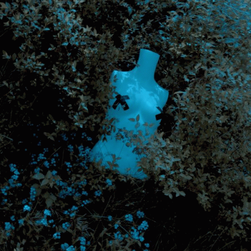 Endless Exam : Shut Up!